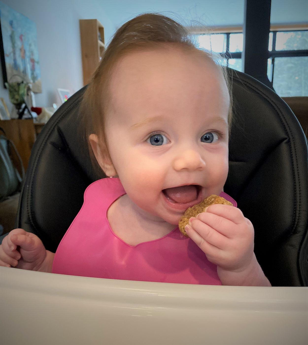 Biscuits Pour Bebe Une Mere Poule Un Peu Dingue